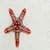 Awesome Sea Starfish Live Wallpaper