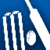 Cricket Facts 240x400