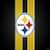 Pittsburgh Steelers Fan