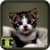 Free Cute Cat Wallpapers