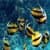 Beautiful Coral Deep Blue Sea Images