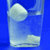 101 Science Experiments Ideas