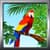 Bird Ringtones Free