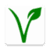 Fifty Vegan Recipes