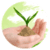 Precautions while using Pesticides