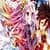 No Game No Life Wallpaper