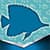 Fish Crop Photo Editor