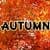 Autumn Wallpapers Live