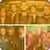 OneRepublic Music Quiz