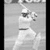 Cricket T20 World Championship Game