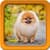 Best Puppies Live Wallpapers