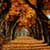 Fall Wallpaper Live