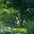 Nature Live Wallpaper 145