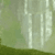 Jungle For Kids