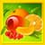Best Fruits Coloring Book 