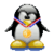 Tux Tux Racing