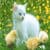 Funny Cute Animals Wallpaper