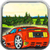 Sports Car Race Madness