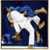 Rules of Judo
