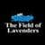 Ebook  The Field of Lavenders