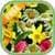 Flower Bubble Freeze
