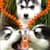 Husky Zipper Lock Screen