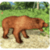 Angry Bear Wild Attack
