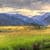 Beautiful Spring Mountain views Live Wallpaper