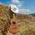 Country Music Radio Streaming