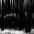 The Lonely Woods Live Wallpaper