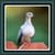 Live Wallpapers – Doves