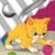 Clock Weather Widget Kittens