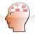 Headache Diary