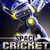 Space Cricket