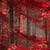 Enchanted Forest Live Wallpaper