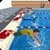 Kids Water Swimming Championship