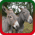 Donkey Ringtones