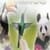 THE WORLD OF ANIMALS