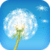 Dandelion Fun