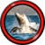 Shark Live Wallpapers Best