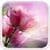 Pink Roses Live Wallpaper for Android