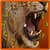 Lion Roar  alarm Clock and Flashlight