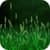 Grass 3D Live Wallpaper