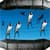Cool Bird Ringtones