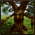 Treant Simulator