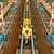 Subway Train Surfers 2023