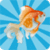 Fish Memory Game Free