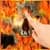 Skull on Fire Color Flame LWP free