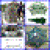 Ideas Easy Make Fish Trap