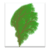 L-Systems Explorer - Free